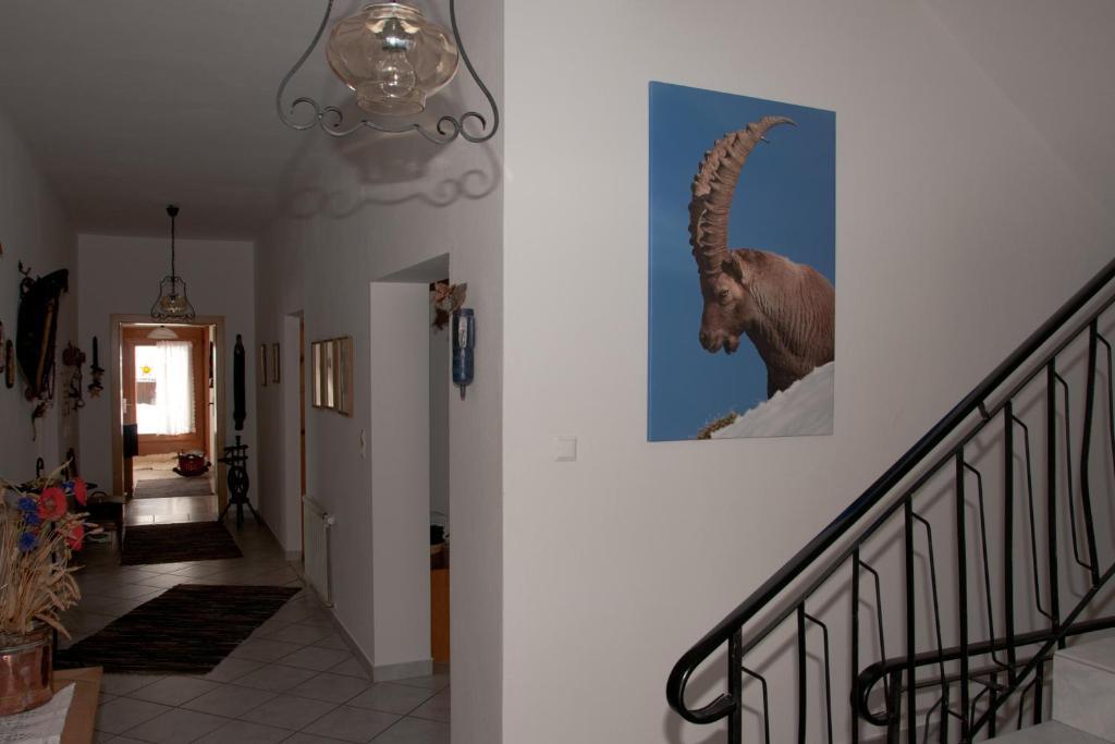 Appartements Schmalzerhof Gries im Sellrain Extérieur photo